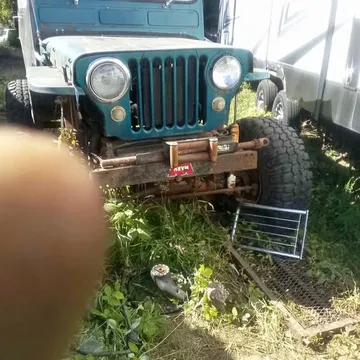 1957 Willy's Jeep  CJ3