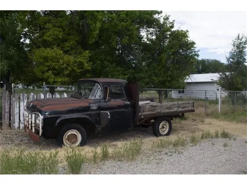 1958 Ford F100