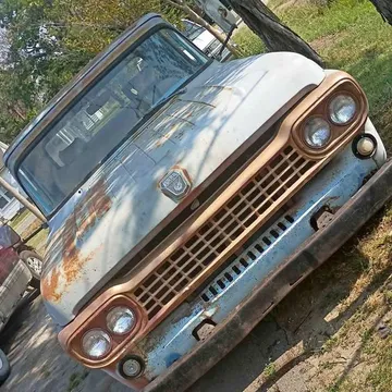 1958 Ford F100