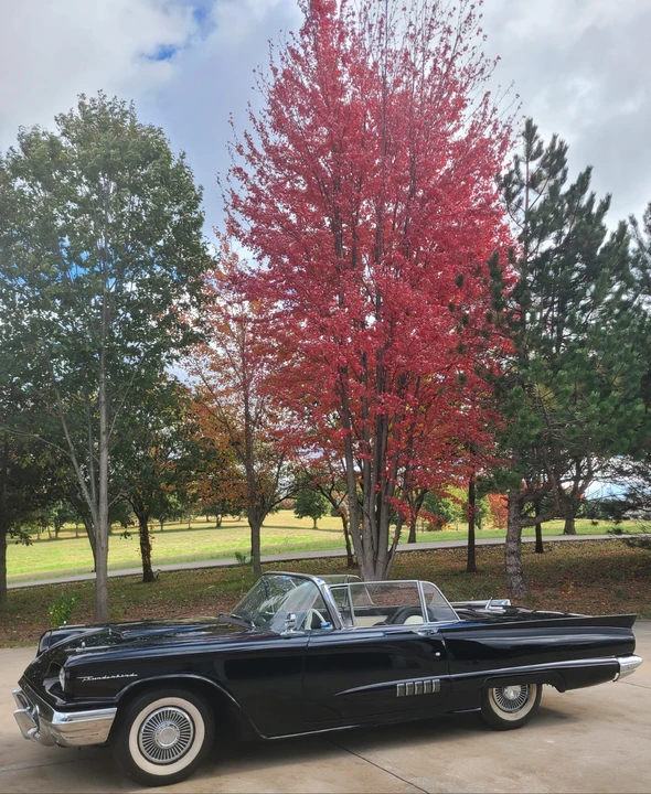 1958 Ford Thunderbird 2nd Gen - Image 4 of 31