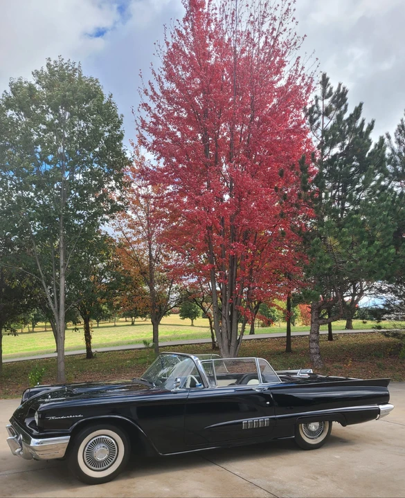 1958 Ford Thunderbird 2nd Gen - Image 6 of 31
