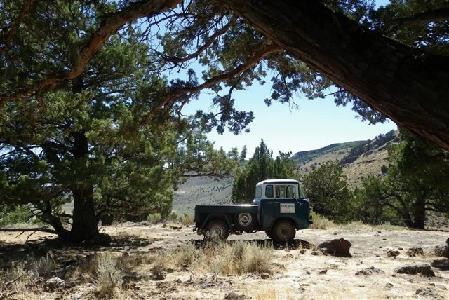 1958 Willys Pickup - Image 5 of 19
