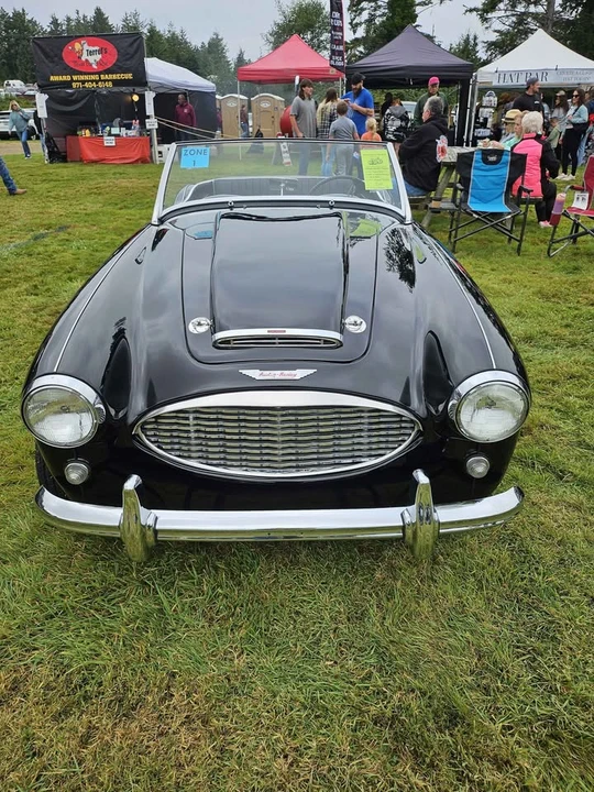1959 Aston Martin DB1 & DB2 & DB2/4 & DB Mark III - Image 3 of 10