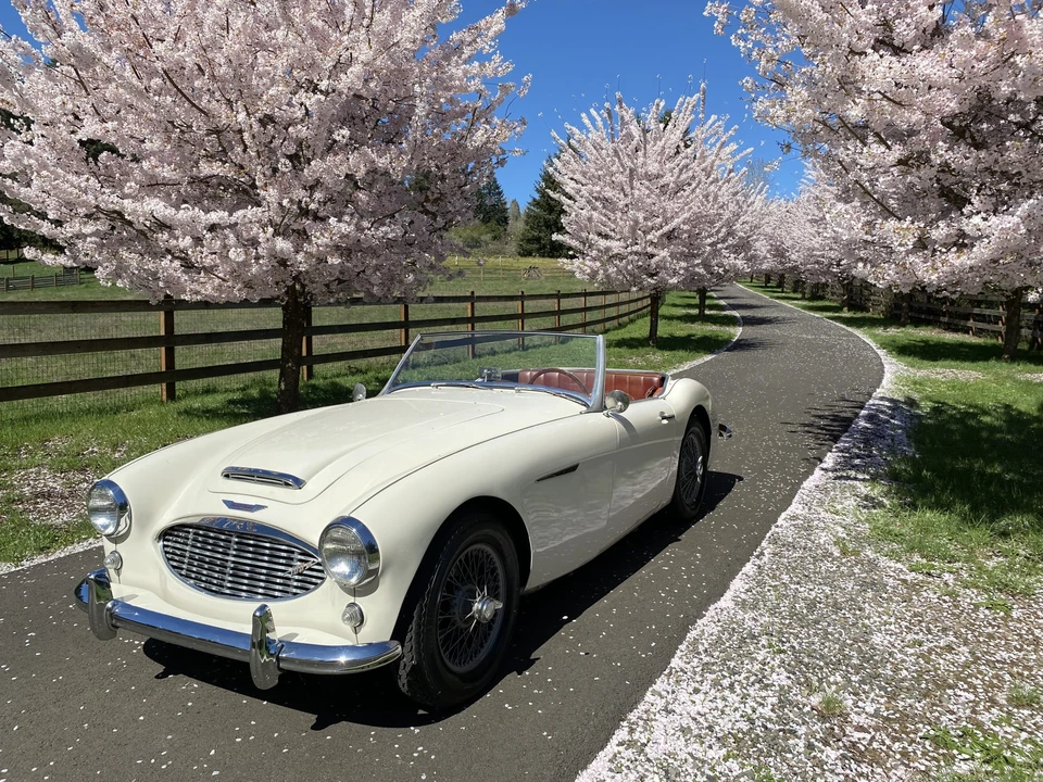 1959 Austin-Healey 100-6 - Image 15 of 31