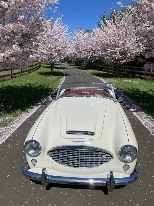1959 Austin-Healey 100-6 - Image 9 of 31