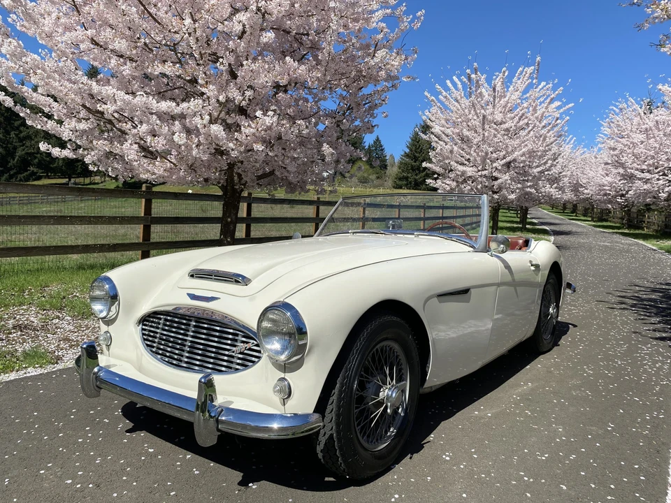 1959 Austin-Healey 100-6 - Image 17 of 31