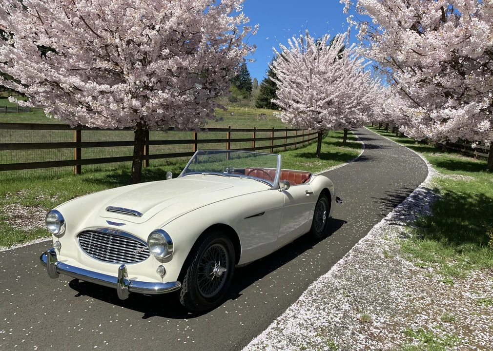 1959 Austin-Healey 100-6 - Image 14 of 31
