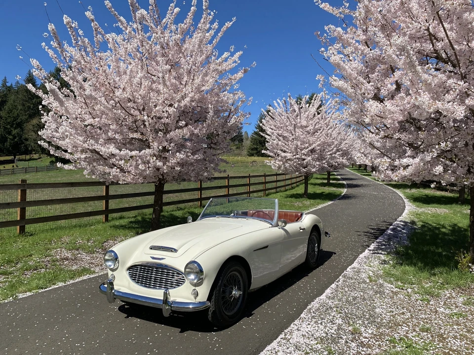 1959 Austin-Healey 100-6 - Image 18 of 31
