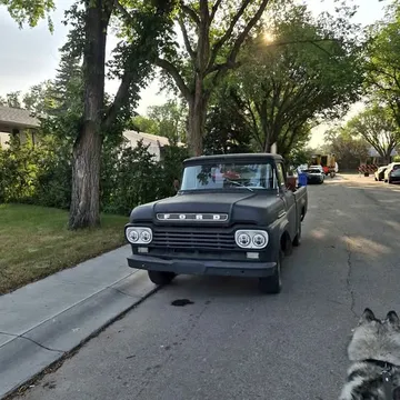 1959 Ford F100 Regular Cab