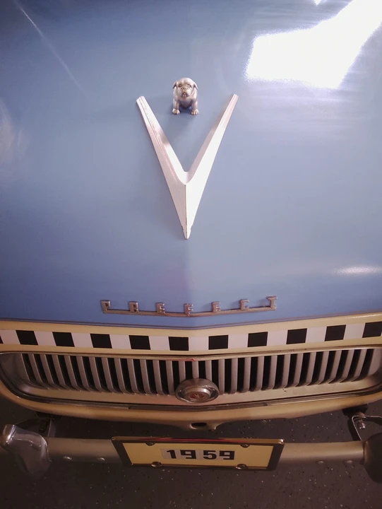 1959 Ford - Image 26 of 31