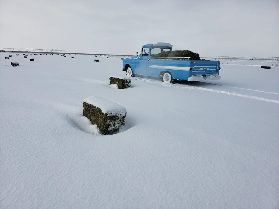 1959 GMC Blue Chip - Image 17 of 31
