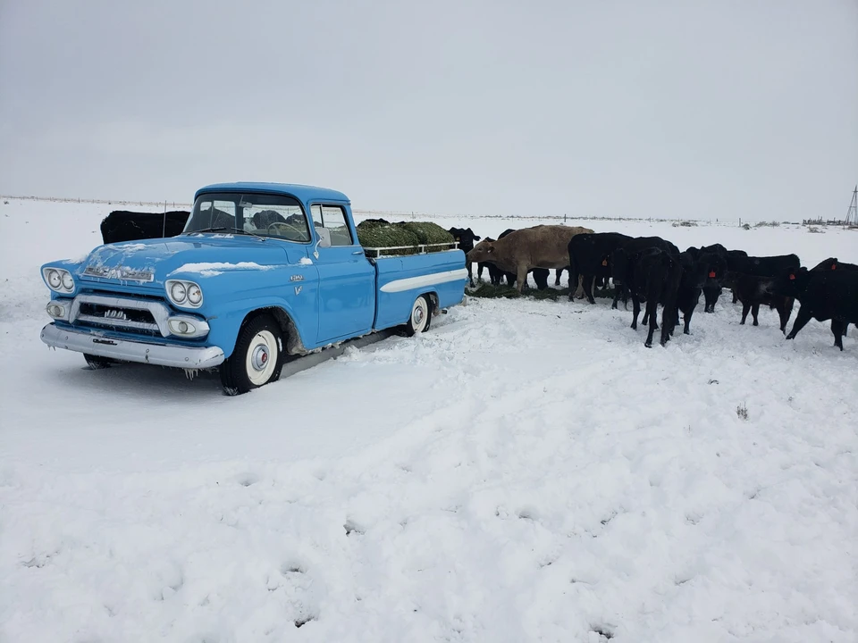 1959 GMC Blue Chip - Image 14 of 31
