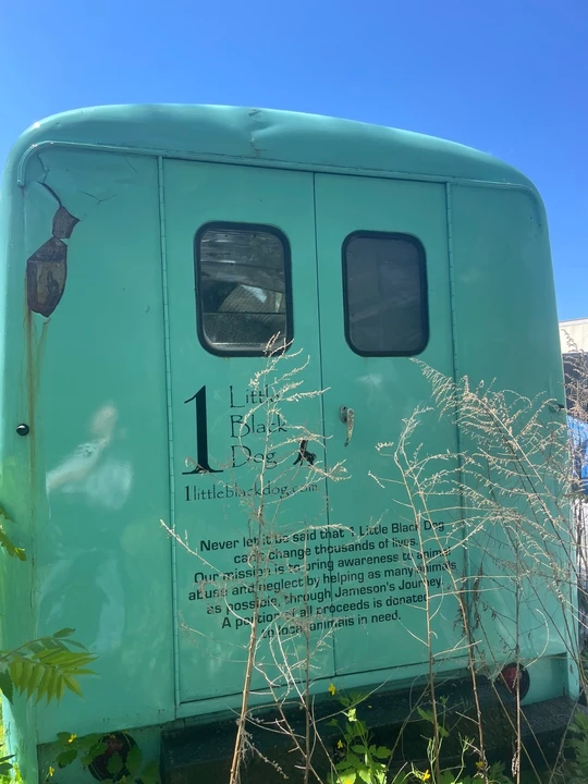 1959 International Harvester - Image 14 of 31