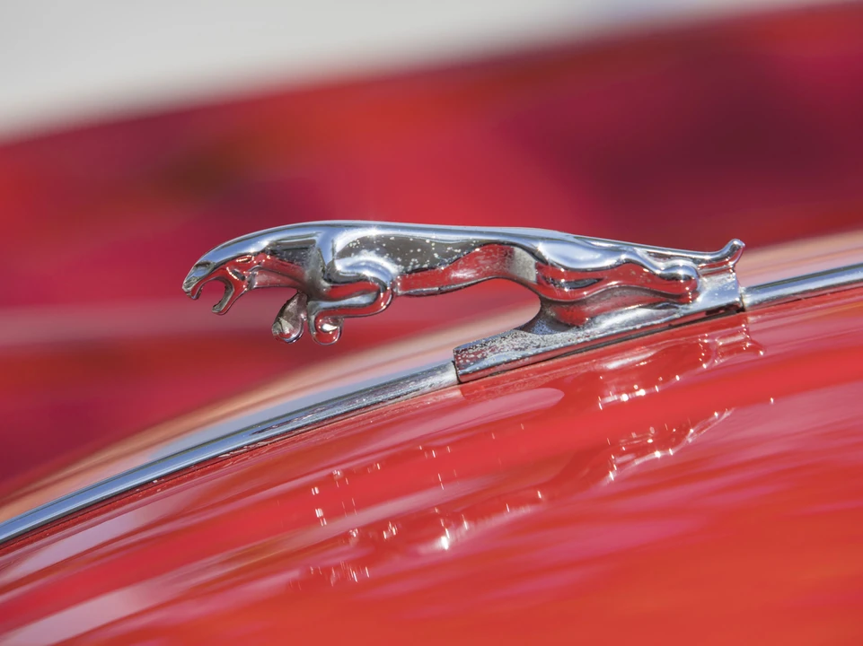 1959 Jaguar XK150 DHC Drophead - Image 16 of 28