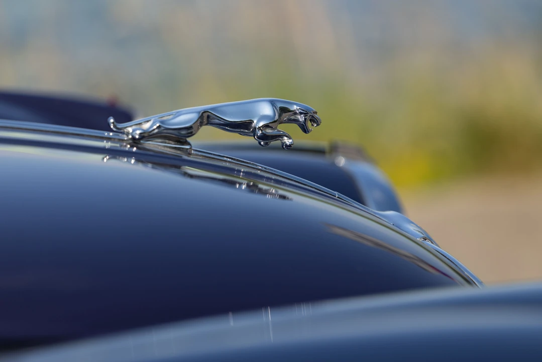 1959 Jaguar XK150 DHC Drophead - Image 8 of 31