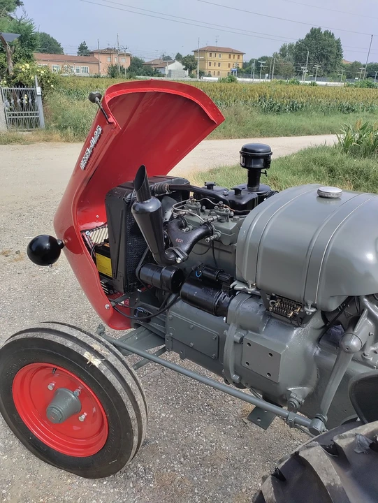1959 Lamborghini Tractors - Image 29 of 30