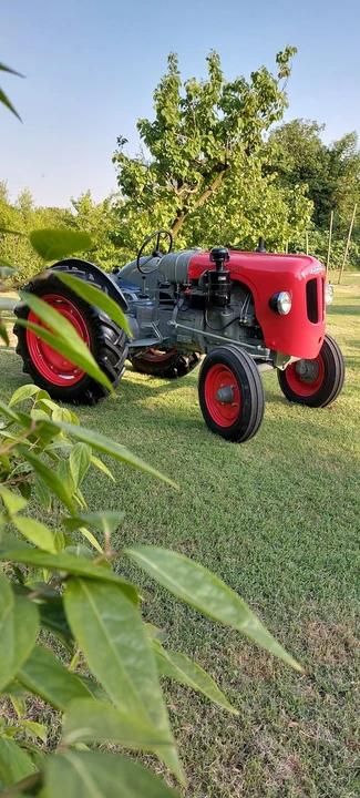 1959 Lamborghini Tractors - Image 21 of 30