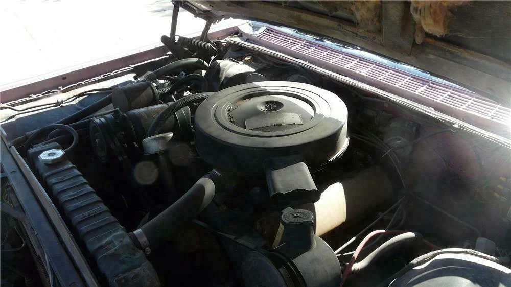 1959 Oldsmobile 88 - Image 3 of 5