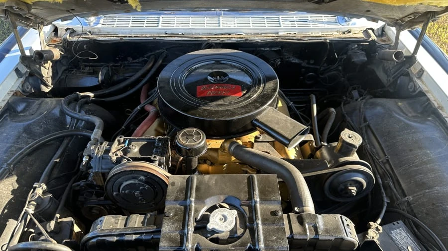 1959 Oldsmobile 88 - Image 6 of 6