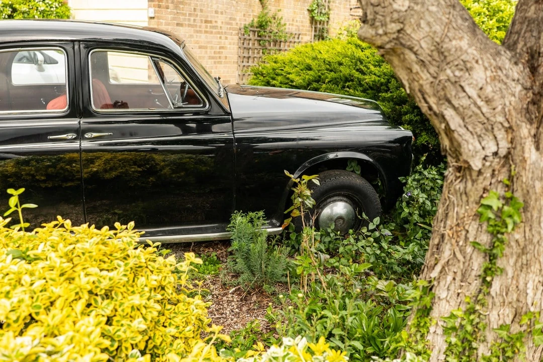 1959 Rover - Image 13 of 30