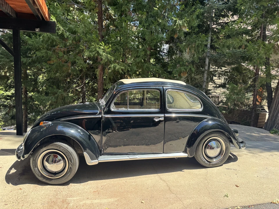 1959 Volkswagen Beetle (1958-1979) - Image 5 of 31