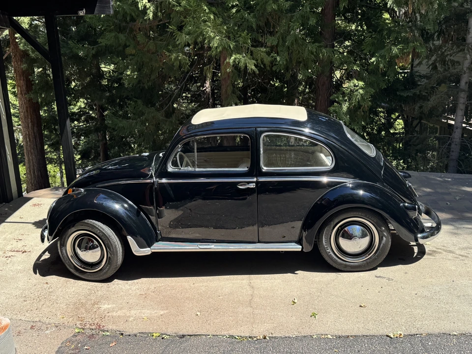 1959 Volkswagen Beetle (1958-1979) - Image 6 of 31