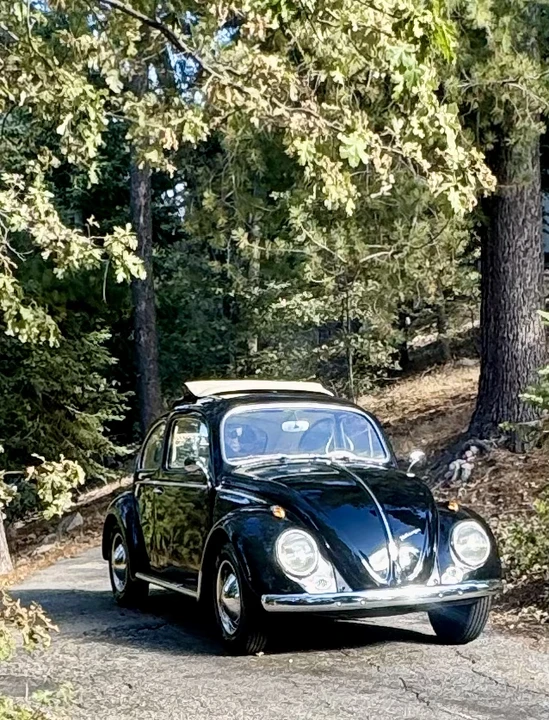 1959 Volkswagen Beetle (1958-1979) - Image 21 of 31