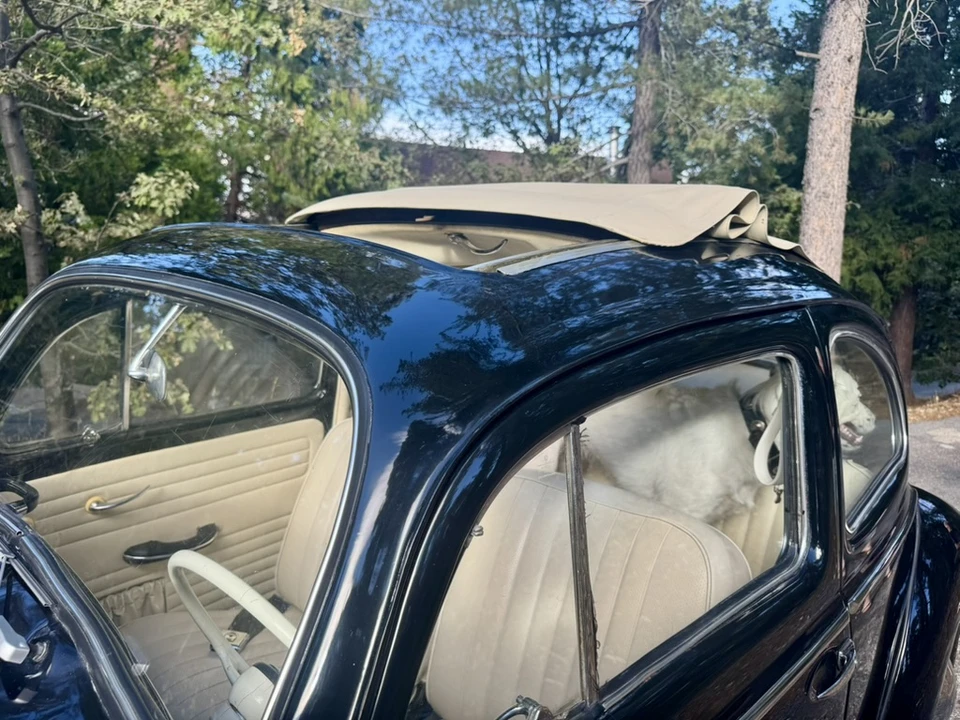 1959 Volkswagen Beetle (1958-1979) - Image 24 of 31