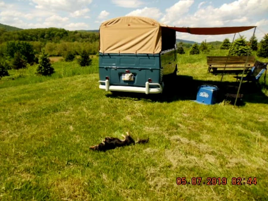 1959 Volkswagen Split-Window Pickup - Image 8 of 12