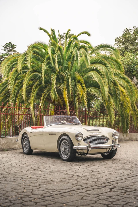 1960 Austin-Healey 3000 Mark I - Image 19 of 31