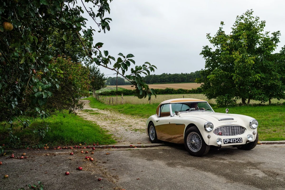 1960 Austin-Healey 3000 Mark I - Image 13 of 30