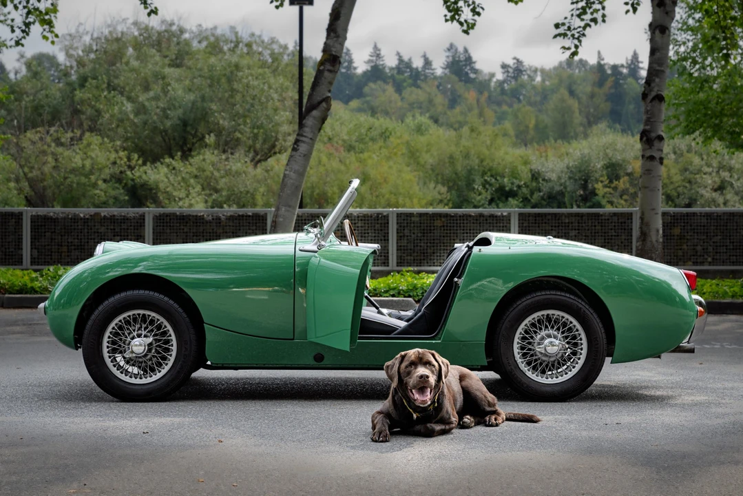 1960 Austin-Healey Sprite Mark I - Image 4 of 31