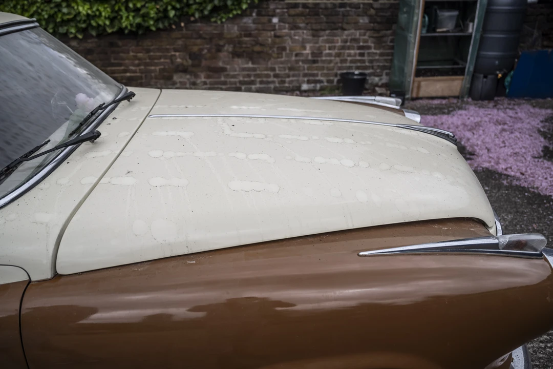 1960 Borgward Isabella - Image 25 of 31