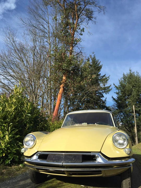 1960 Citroen DS19 - Image 9 of 31