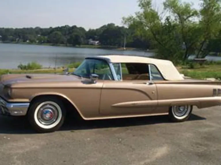 1960 Cadillac Series 61 - Image 10 of 10