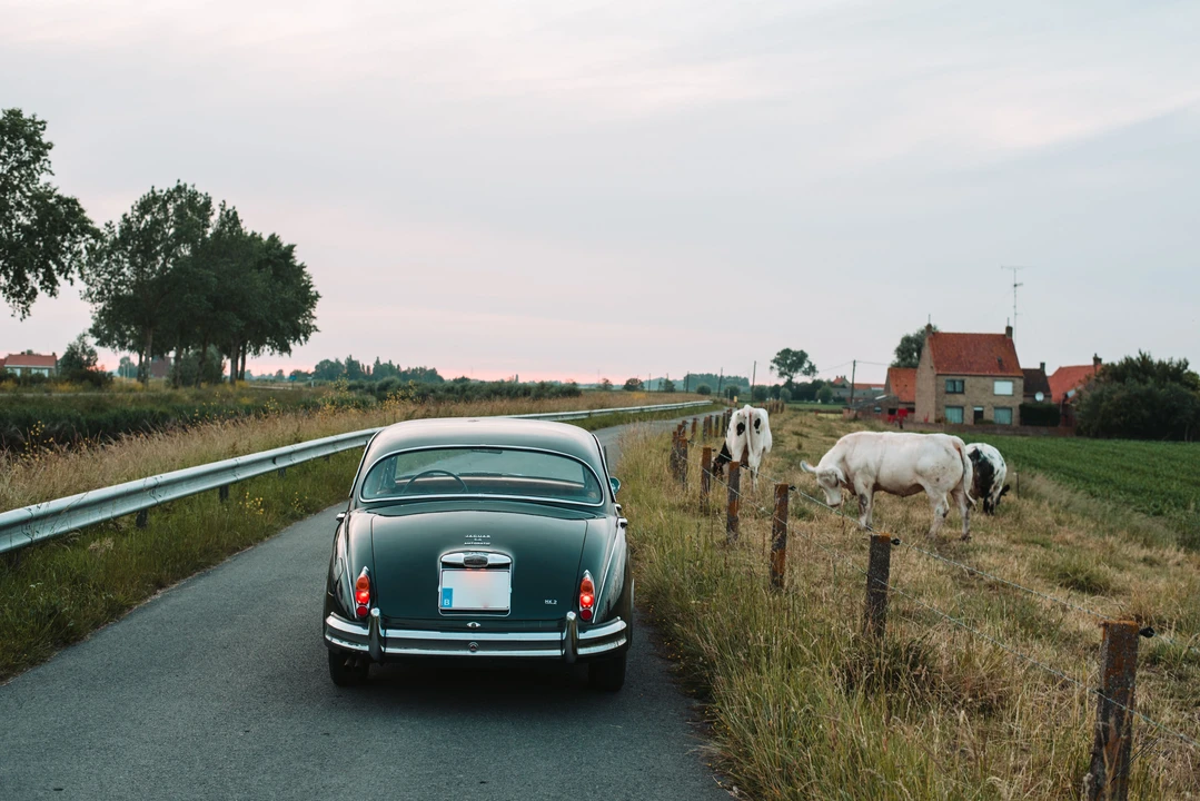 1960 Jaguar Mark II - Image 13 of 15