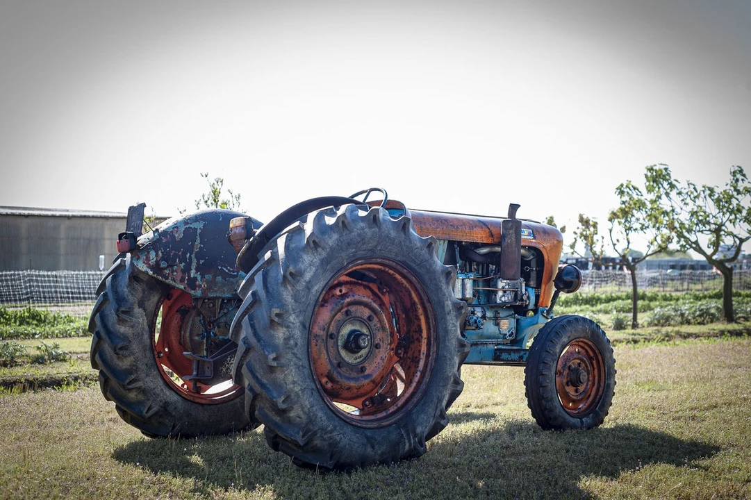1969 Lamborghini Tractors - Image 10 of 30