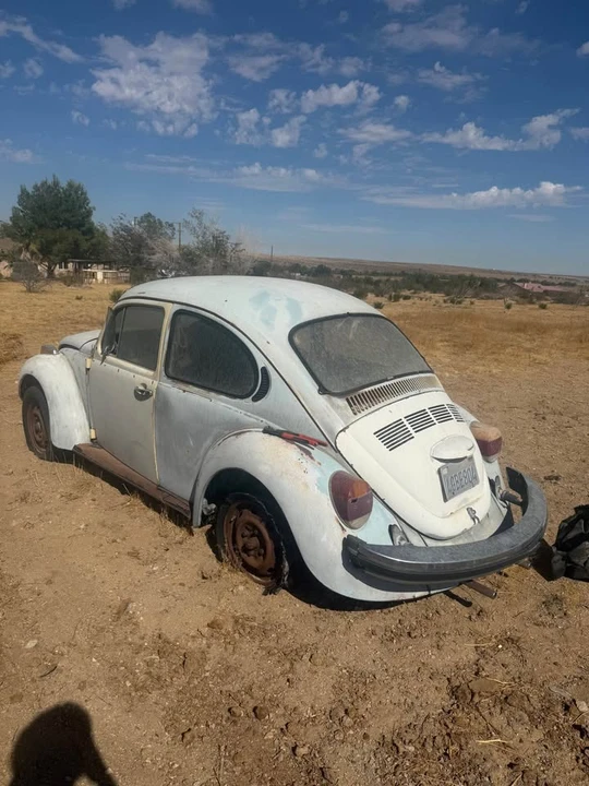 1960 Volkswagen Beetle - Image 2 of 6