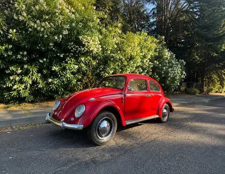 1960 Volkswagen Beetle Euro (Semaphores)