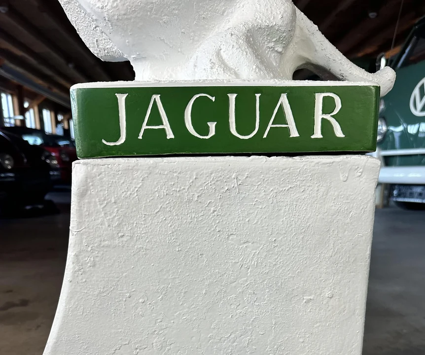 Jaguar - Image 10 of 10