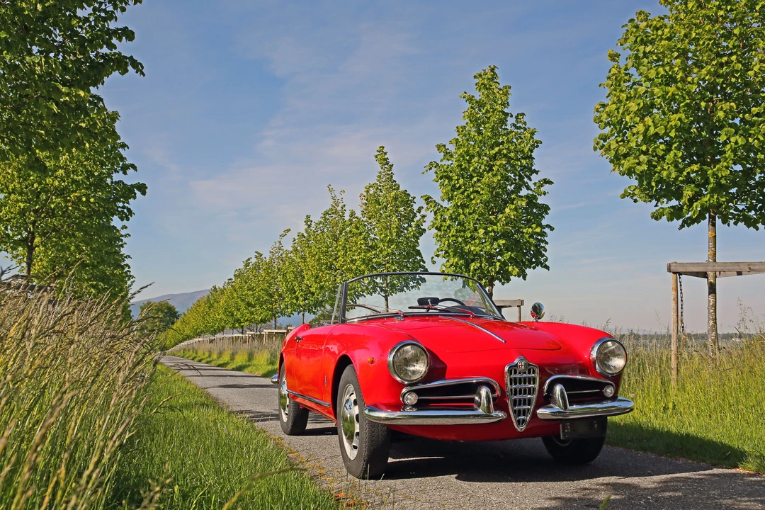 1961 Alfa Romeo Giulietta - Image 14 of 27