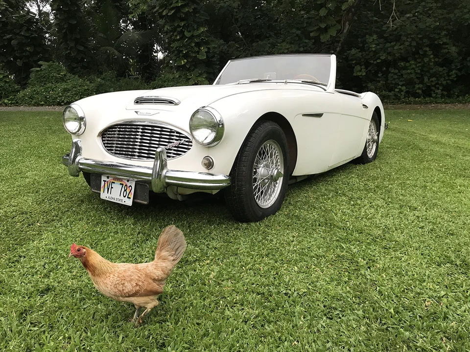 1961 Austin-Healey 3000 Mark I - Image 6 of 31
