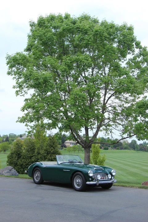 1961 Austin-Healey 3000 - Image 12 of 31