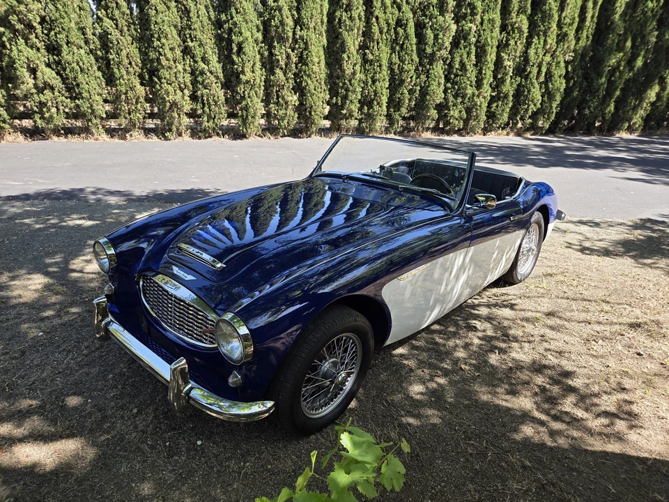 1961 Austin-Healey 3000 Mark I - Image 4 of 31