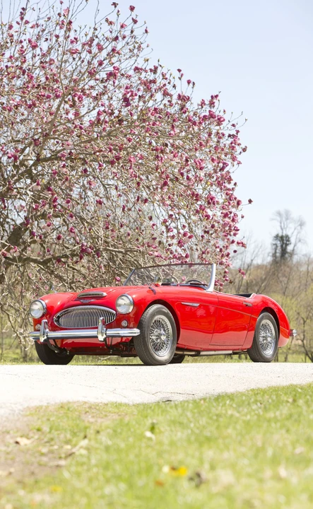 1961 Austin-Healey 3000 Mark II - Image 8 of 20