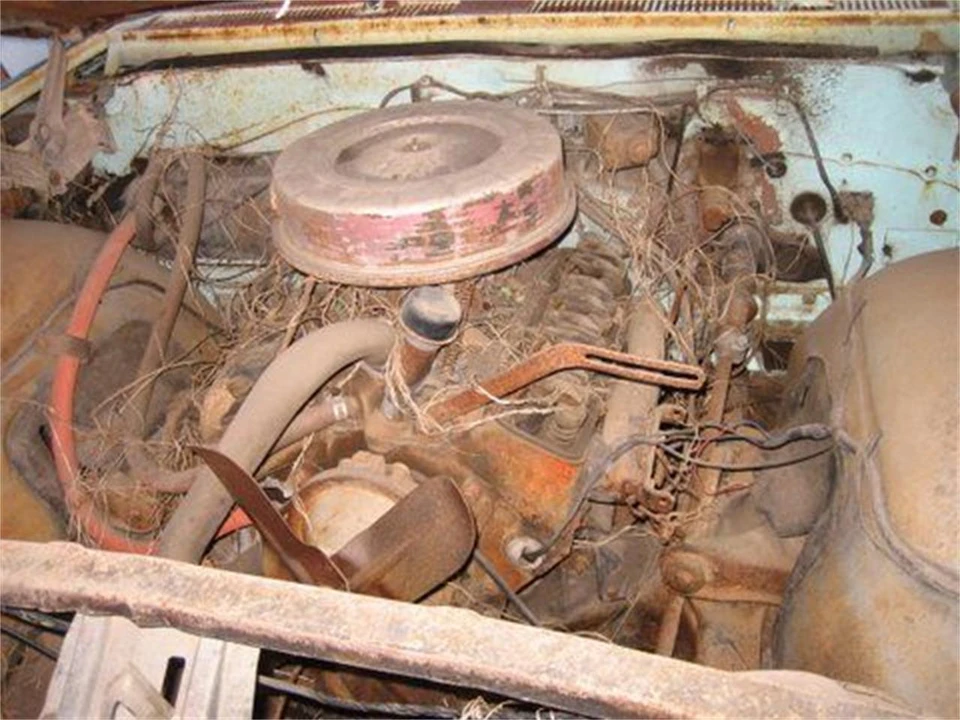 1961 Chevrolet Nomad - Image 6 of 11