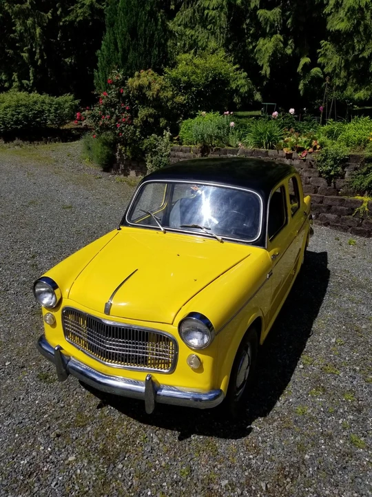 1961 Fiat 1100 - Image 8 of 31