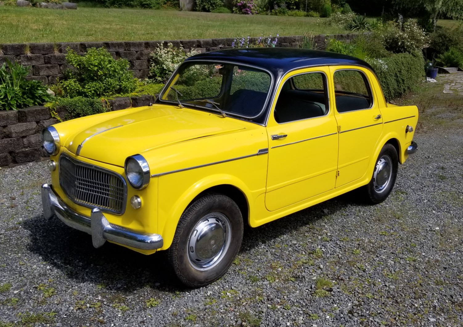 1961 Fiat 1100 Special