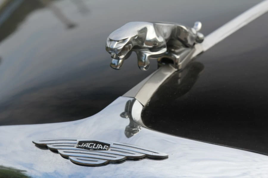 1961 Jaguar E-Type Series 1 - Image 9 of 10