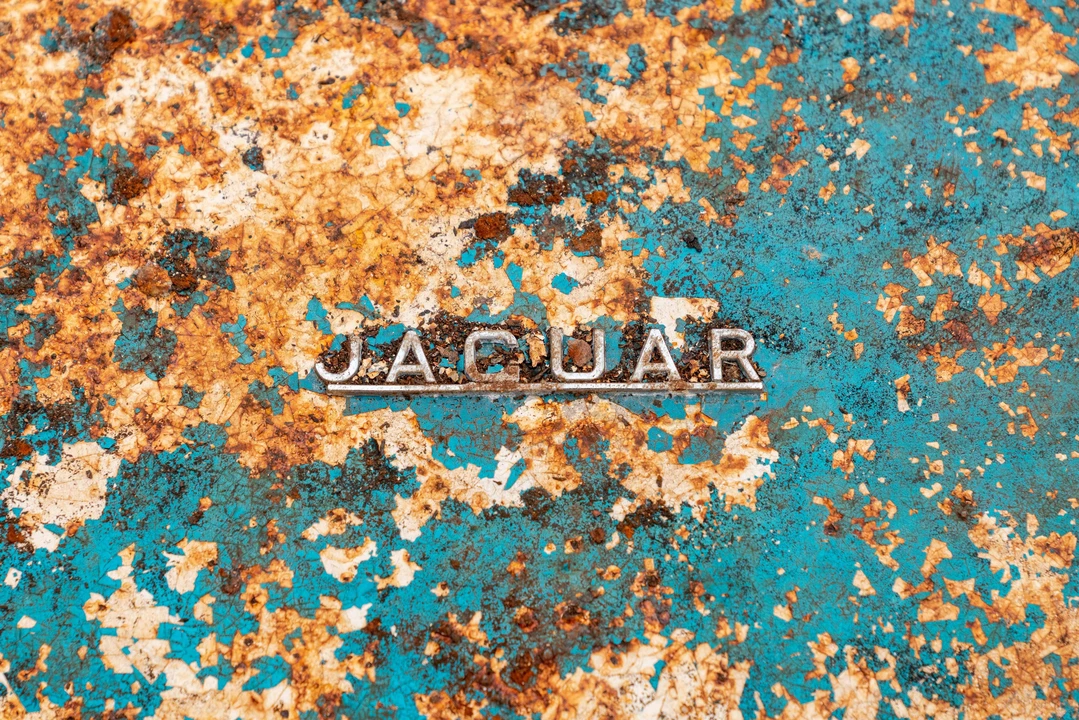 1961 Jaguar E-Type Series 1 - Image 27 of 31